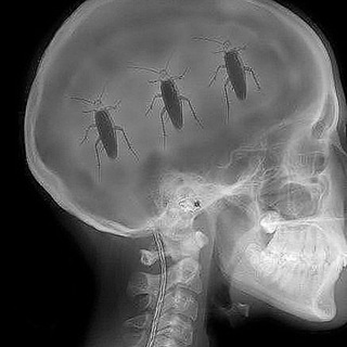 Логотип @tarakany2 - Тараканы в голове