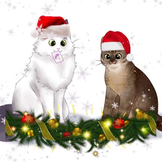 Логотип @tarelkocards - Карточная тарелка🎄