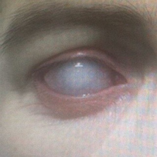 Логотип @tarlata - TARLATA