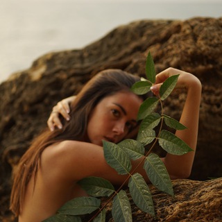 Логотип @taro2023111 - Обратная связь