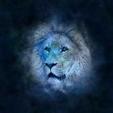 Логотип @taro_vorojeya - Таро | Гадания | Ворожея