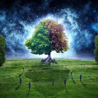 Логотип @tarodikogolesa - Дарья Таро