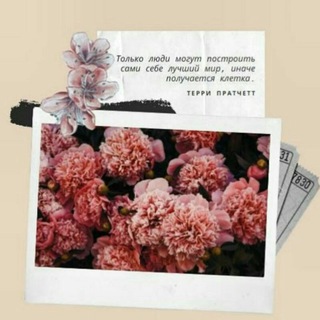 Логотип @taroforall - Магия повседневной жизни