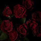 Логотип @tarologgiao - ARCAN ТАРО