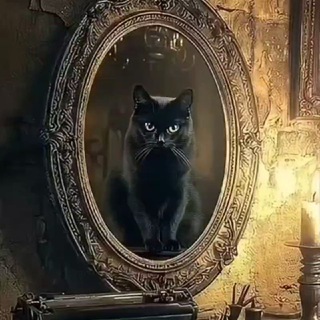 Логотип @tarot_melena - Диалоги с Арканом 🐈‍⬛️