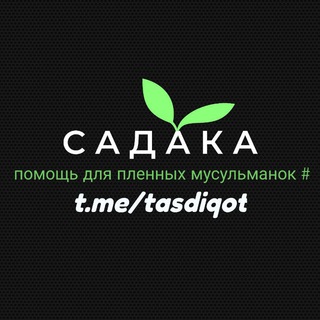 Логотип @tasdiqot - T A S D I Q O T