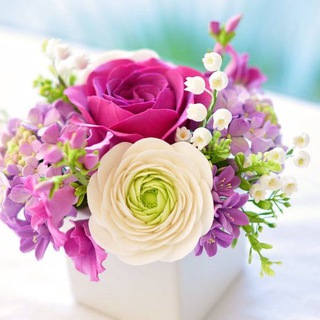 Логотип @tastepia_galereja - Фото та відеофони для сторіз Інстаграм