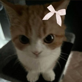 Логотип @tasty_compot_fan - dash_aaaa_ 💗