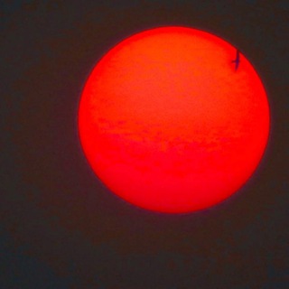 Логотип @tataevladova - 33 дельфина