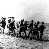 Логотип @tatarinov_r - Фото