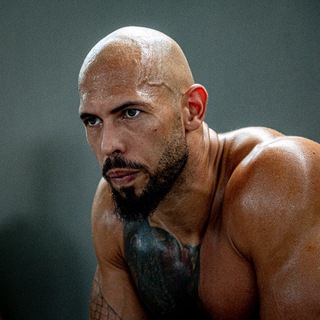 Логотип @tatechamp - Tate