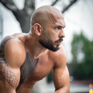 Логотип @tateismofficial - Andrew Tate