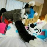 Логотип @tatemurrsuit - Tate's Murrsuit Madness