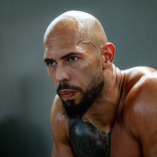 Логотип @tatepath - Tate