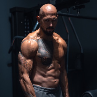 Логотип @tateschannel - Tate