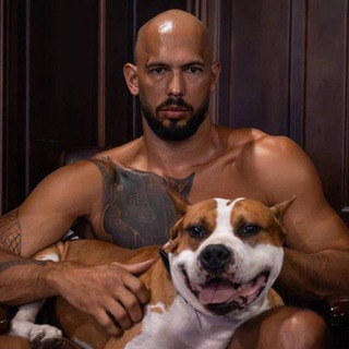 Логотип @tatesorder - Орден Тейта