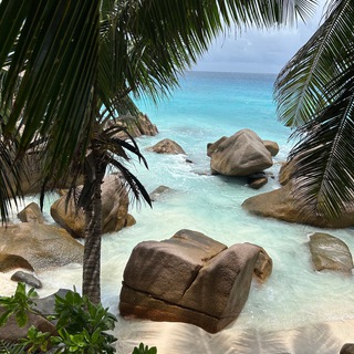 Логотип @tatianattours - Турагентство «TTOURS»