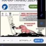 Логотип @tattoo_bomb - Чат