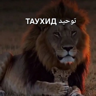 Логотип @tauhid90tauhib - ТАУХИД توحيد