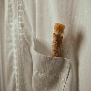 Логотип @tauhidahauat - Таухид - основа веры 🇸🇦