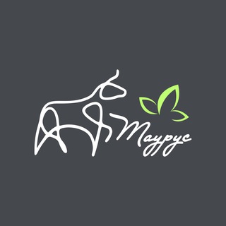 Логотип @taurus_market - Taurus-market.ru