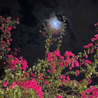 Логотип @taven_bakhtale_761 - ⚜𝑀𝑜𝑙𝑜𝑑𝑒𝑧ℎ𝑛𝑦𝑒 𝑡𝑟𝑒𝑘𝑖 𝟸𝟶𝟸𝟼⚜