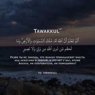 Логотип @tawakkuull - tαwαkkul ོ