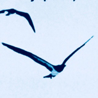 Логотип @tawhit - П̷О̷С̷Л̷А̷Н̷И̷Е̷ ̷В̷О̷ ̷Т̷Ь̷М̷Е̷ ̷И̷Д̷У̷Щ̷И̷М̷