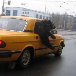 Логотип @taxi_i_prikol - Приколы | ржач | прикольные истории | плачу в голос