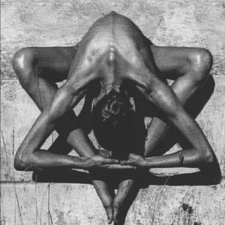 Логотип @taxidermianatomica - 🩻 Estudios de anatomía y lo que surja