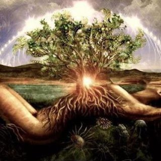 Логотип @tayeva698711 - Род и Твоя энергия жизни