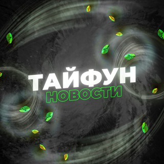 Логотип @tayfunnews - ТАЙФУН | НОВОСТИ