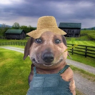 Логотип @tayfuw - Tayfu🐳