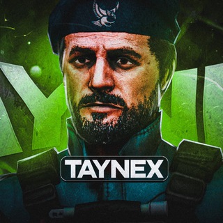 Логотип @taynextg - Taynex