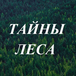 Логотип @taynilesa - Тайны Леса