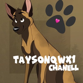 Логотип @taysonqwlll1 - ୨ৎ ₊ ☠️Taysonqwx1💨 ໒꒰ ᴗ ˕ ᴗ ᜊ ꒱১