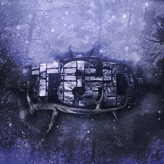 Логотип @tdchanneltg - T&D channel