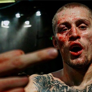 Логотип @tdfcmusicchat - Top Dog чат