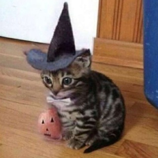 Логотип @tdmchatvedma - Юлин гарем