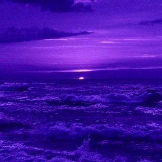 Логотип @tdmonlyhead - Lapatap