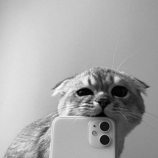 Логотип @te_sami_group - Те самые (группа)