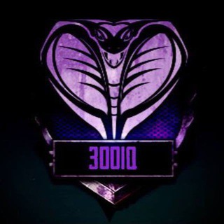Логотип @team300iq - 300IQ TEAM
