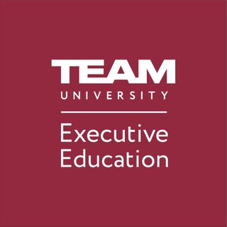 Логотип @team_executive_edu - TEAM Executive Education