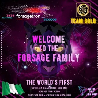 Логотип @teamlitdollarfuture - TM-LIT🔥🌏FORSAGE TRON