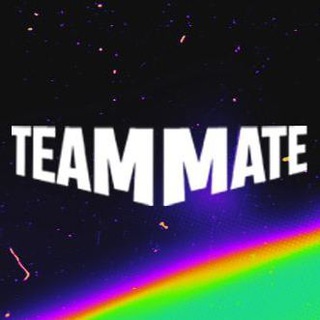 Логотип @teammate_go - TEAMMATE