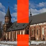 Логотип @teamnavalny_kld - Навальный | Калининград