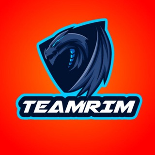 Логотип @teamrim - Fluton