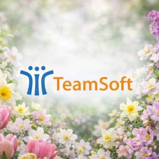 Логотип @teamsoftru - ТимСофт тренинги | Казань