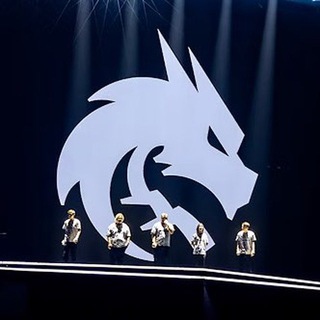 Логотип @teamspirit_cs - Team Spirit Fan Page | CS 2