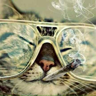 Логотип @teapaty_52 - Сумасшедшая Чайная Вечеринка